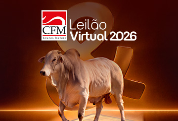 LEILÃO VIRTUAL CFM 2026